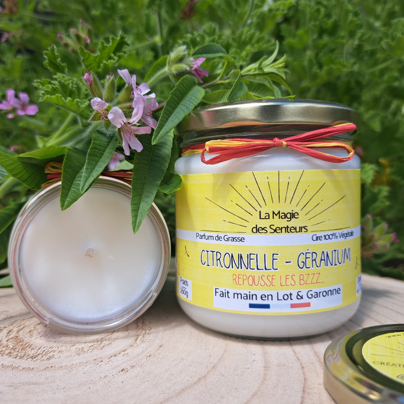 Citronnelle Géranium